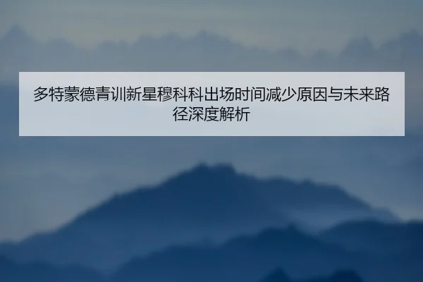 多特蒙德青训新星穆科科出场时间减少原因与未来路径深度解析